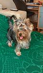     
: getImageCAUC13ZB.jpg
: 24
:	40.5 
ID:	6808543