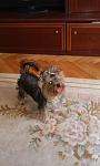     
: getImageCALUWAYT.jpg
: 16
:	28.9 
ID:	6808544