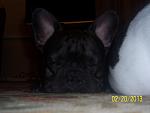     
: 100_5331.jpg
: 19
:	54.5 
ID:	6809202