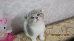     
: IMG_5479.jpg
: 26
:	71.5 
ID:	6809819