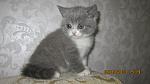     
: IMG_5493.jpg
: 21
:	78.5 
ID:	6809827
