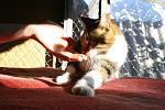     
: IMG_0712.jpg
: 55
:	131.8 
ID:	6811119