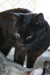     
: IMG_0736.jpg
: 54
:	61.5 
ID:	6811120