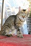     
: IMG_0735.jpg
: 52
:	109.4 
ID:	6811122
