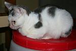     
: IMG_0758.jpg
: 55
:	106.6 
ID:	6811153