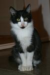     
: IMG_0766.jpg
: 52
:	61.3 
ID:	6811173