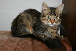     
: IMG_0743.jpg
: 50
:	154.3 
ID:	6811175
