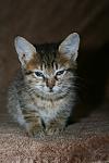     
: IMG_0776.jpg
: 50
:	72.7 
ID:	6811179