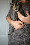     
: IMG_0767.jpg
: 51
:	102.9 
ID:	6811182