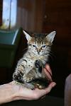     
: IMG_0750.jpg
: 51
:	59.8 
ID:	6811184