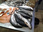     
: 20130905_151154.jpg
: 64
:	191.3 
ID:	6811463