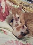     
: 20130908_234746.jpg
: 3
:	84.3 
ID:	6812460