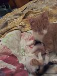     
: 20130908_234959.jpg
: 2
:	89.9 
ID:	6812462