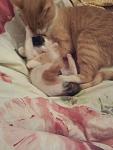     
: 20130908_234735.jpg
: 2
:	68.2 
ID:	6812464
