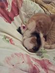     
: 20130908_234646.jpg
: 5
:	72.4 
ID:	6812477
