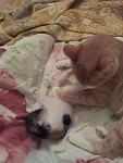     
: 20130908_234944.jpg
: 2
:	75.5 
ID:	6812482