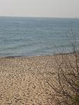     
: 16  2008  8 .jpg
: 37
:	117.2 
ID:	681342