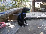    
: P9080427.jpg
: 4
:	258.8 
ID:	6814902