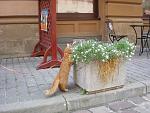     
: P8310205.jpg
: 9
:	185.6 
ID:	6815491
