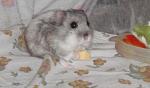     
: PB220144.JPG
: 41
:	142.1 
ID:	681701