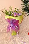     
: DSC_0035.jpg
: 6
:	115.8 
ID:	6821706