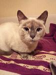     
: IMG_20130910_205914.jpg
: 27
:	92.5 
ID:	6821892