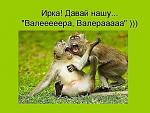     
: getImage (8).jpg
: 12
:	46.1 
ID:	6826874