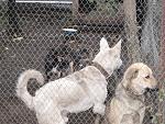     
: IMG_7706.jpg
: 7
:	255.4 
ID:	6833134
