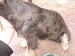    
: IMG_7697.jpg
: 8
:	167.4 
ID:	6833402