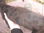    
: IMG_7694.jpg
: 10
:	179.6 
ID:	6833403