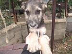     
: IMG_7695.jpg
: 8
:	197.9 
ID:	6833404