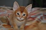     
: DSC_9641.jpg
: 9
:	75.3 
ID:	6836183