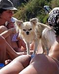     
: 1231149674_1229599958_23.jpg
: 65
:	36.8 
ID:	683840