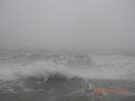     
: CIMG0245.jpg
: 352
:	59.6 
ID:	684189