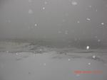     
: CIMG0251.jpg
: 325
:	38.6 
ID:	684192