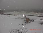    
: CIMG0239.jpg
: 382
:	70.4 
ID:	684199