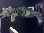     
: 240720131029.jpg
: 12
:	134.9 
ID:	6842778