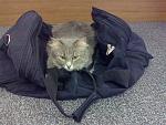     
: 260720131036.jpg
: 14
:	171.1 
ID:	6842780