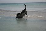     
: bb1f8881e593.jpg
: 30
:	40.9 
ID:	684402