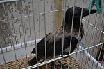     
: DSC_0207.jpg
: 114
:	134.4 
ID:	6844043
