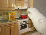     
: 1239787984_00036148.jpg
: 71
:	149.0 
ID:	684445