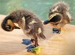     
: 1257238968_prikoli1-81.jpg
: 69
:	28.4 
ID:	684448