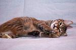     
: DSC_0800.jpg
: 1
:	26.5 
ID:	6845989