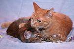     
: DSC_0805.jpg
: 1
:	31.0 
ID:	6846175
