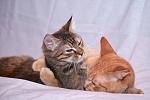     
: DSC_0807.jpg
: 1
:	26.6 
ID:	6846176
