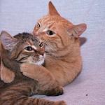     
: DSC_0811.jpg
: 1
:	48.9 
ID:	6846179