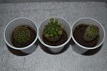     
: DSC_0206.jpg
: 17
:	112.6 
ID:	6855266