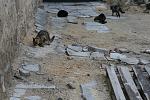     
: IMG_4339.jpg
: 7
:	111.9 
ID:	6860166