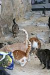     
: IMG_4342.jpg
: 6
:	104.4 
ID:	6860175
