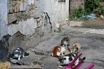     
: IMG_4346.jpg
: 10
:	111.6 
ID:	6860261